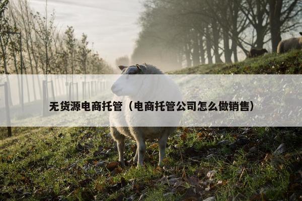 无货源电商托管（电商托管公司怎么做销售）