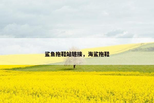鲨鱼拖鞋站链接，海鲨拖鞋