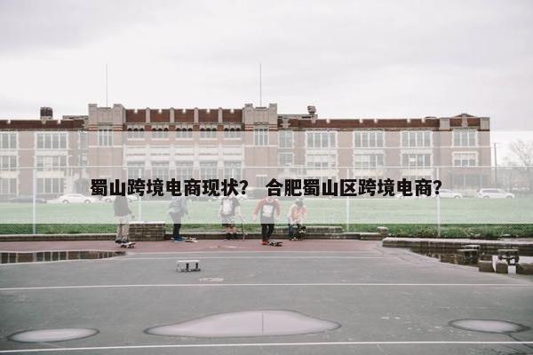 蜀山跨境电商现状？ 合肥蜀山区跨境电商？