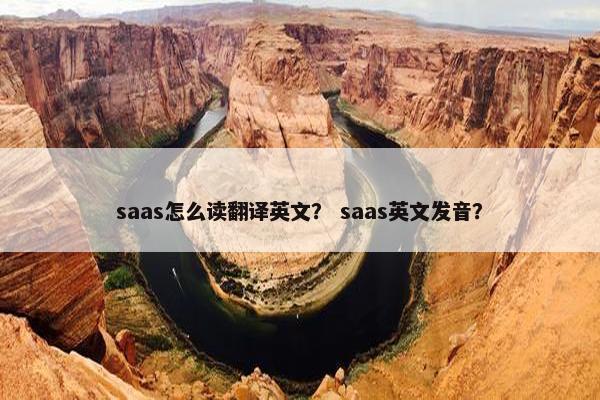 saas怎么读翻译英文？ saas英文发音？