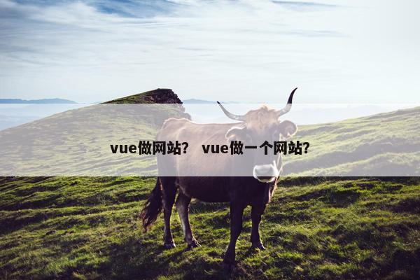 vue做网站？ vue做一个网站？