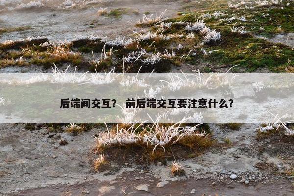 后端间交互？ 前后端交互要注意什么？