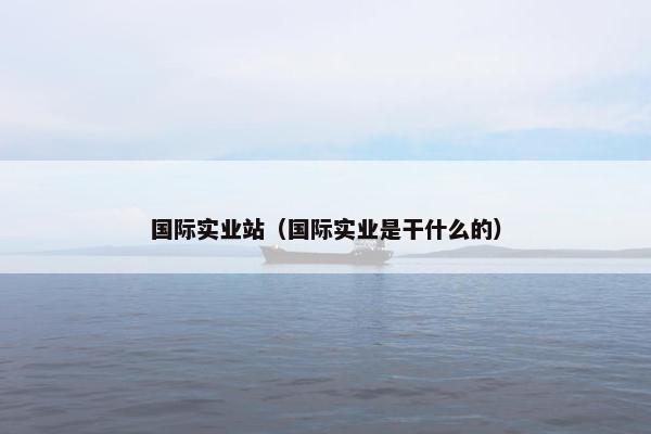 国际实业站（国际实业是干什么的）