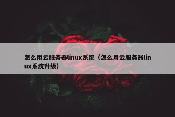 怎么用云服务器linux系统（怎么用云服务器linux系统升级）