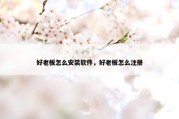 好老板怎么安装软件，好老板怎么注册