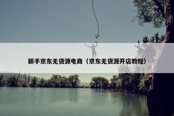 新手京东无货源电商（京东无货源开店教程）