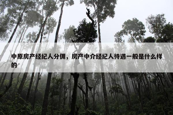 中原房产经纪人分佣，房产中介经纪人待遇一般是什么样的