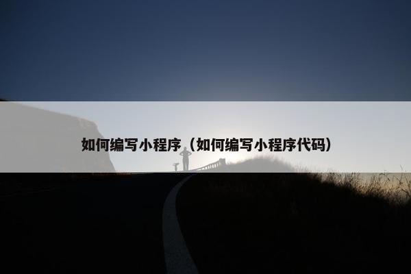 如何编写小程序（如何编写小程序代码）