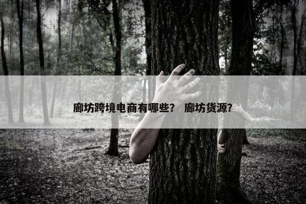 廊坊跨境电商有哪些？ 廊坊货源？
