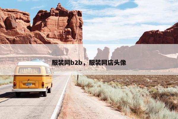 服装网b2b，服装网店头像