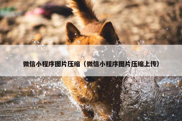 微信小程序图片压缩（微信小程序图片压缩上传）