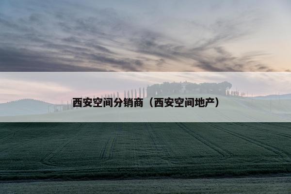西安空间分销商（西安空间地产）