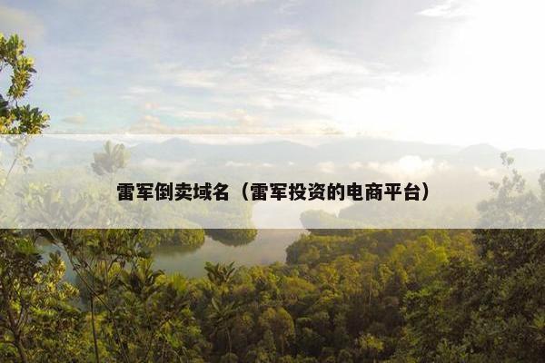 雷军倒卖域名（雷军投资的电商平台）
