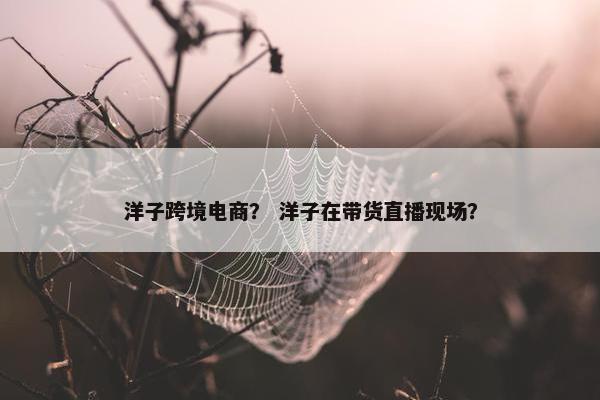 洋子跨境电商？ 洋子在带货直播现场？