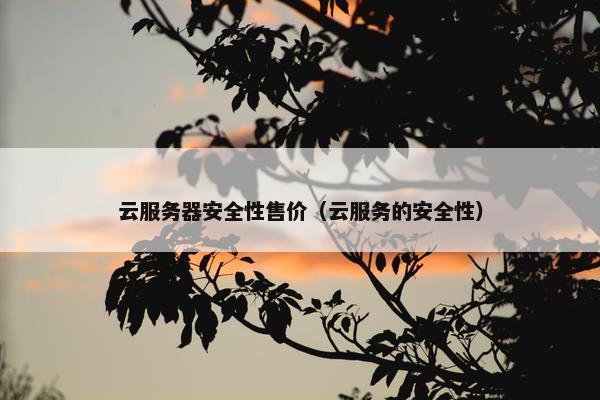云服务器安全性售价（云服务的安全性）