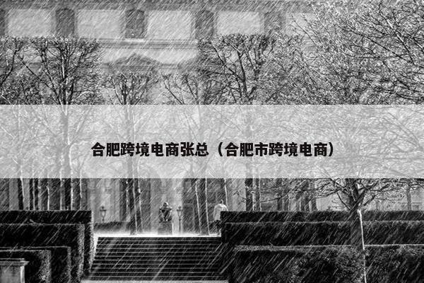合肥跨境电商张总（合肥市跨境电商）
