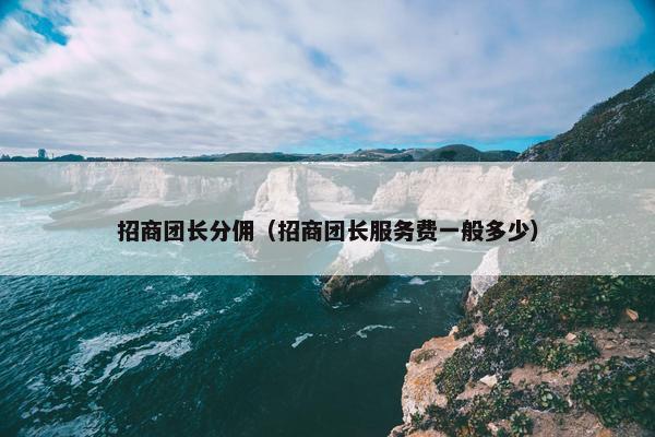 招商团长分佣（招商团长服务费一般多少）