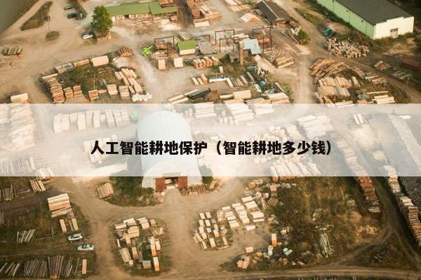 人工智能耕地保护（智能耕地多少钱）