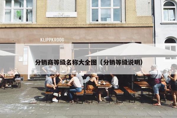 分销商等级名称大全图（分销等级说明）