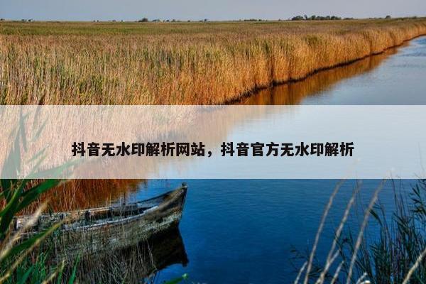 抖音无水印解析网站，抖音官方无水印解析