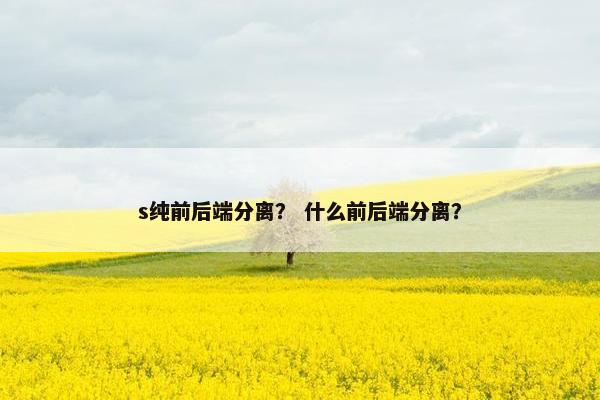 s纯前后端分离？ 什么前后端分离？