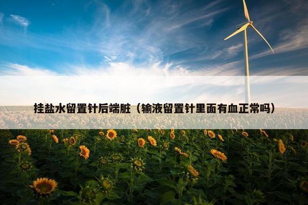 挂盐水留置针后端脏（输液留置针里面有血正常吗）