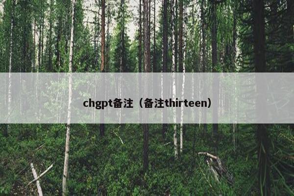 chgpt备注（备注thirteen）