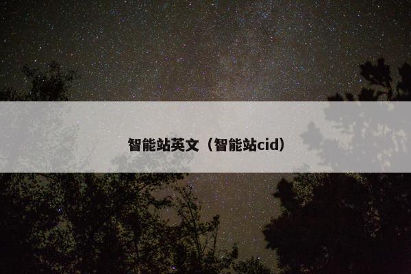 智能站英文（智能站cid）