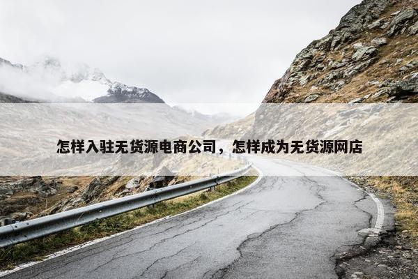 怎样入驻无货源电商公司，怎样成为无货源网店