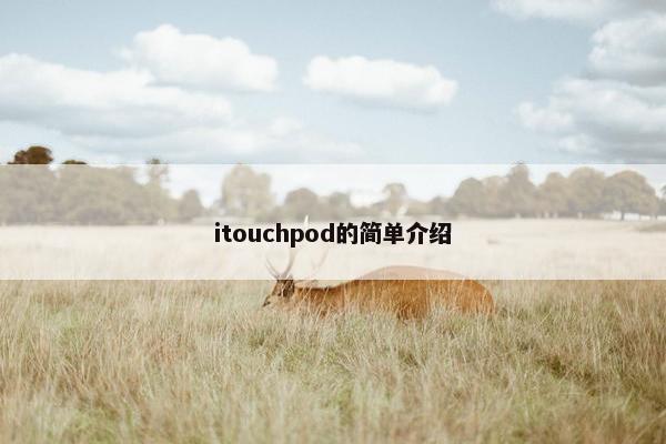 itouchpod的简单介绍