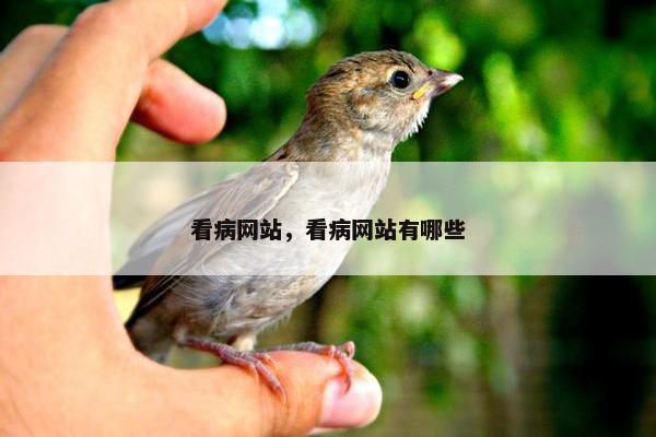 看病网站，看病网站有哪些