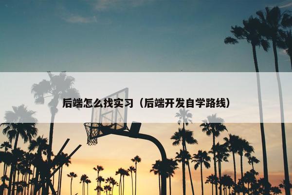 后端怎么找实习（后端开发自学路线）
