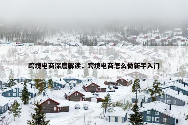 跨境电商深度解读，跨境电商怎么做新手入门
