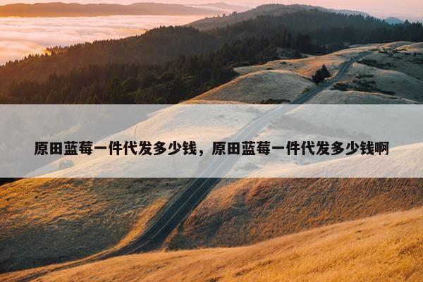 原田蓝莓一件代发多少钱，原田蓝莓一件代发多少钱啊