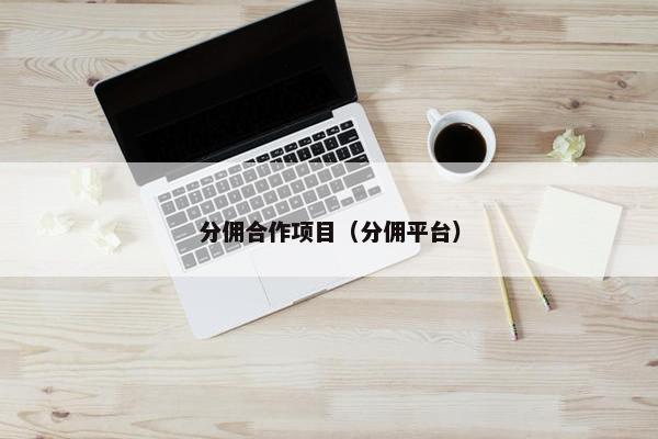 分佣合作项目（分佣平台）