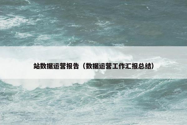 站数据运营报告（数据运营工作汇报总结）
