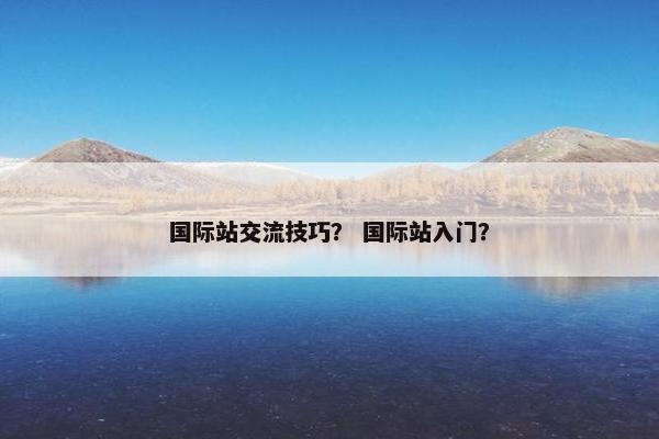 国际站交流技巧？ 国际站入门？