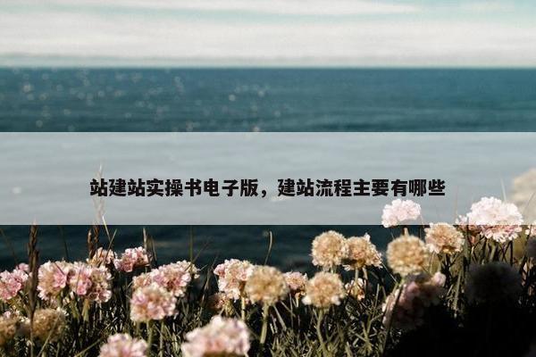 站建站实操书电子版，建站流程主要有哪些