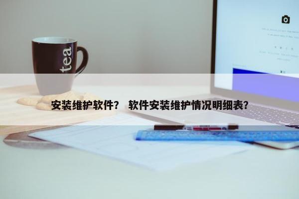安装维护软件？ 软件安装维护情况明细表？