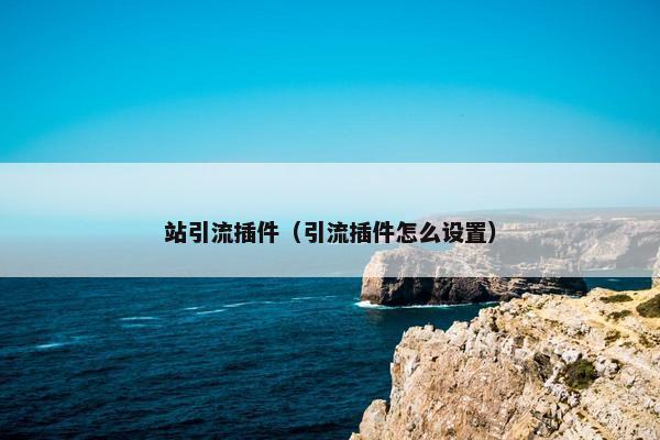 站引流插件（引流插件怎么设置）