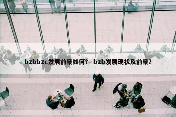 b2bb2c发展前景如何？ b2b发展现状及前景？
