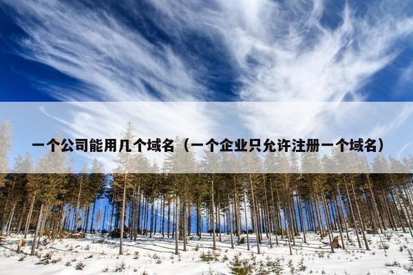 一个公司能用几个域名（一个企业只允许注册一个域名）