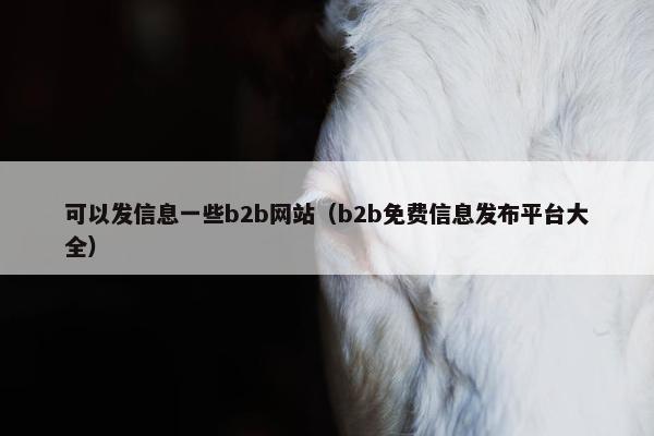 可以发信息一些b2b网站（b2b免费信息发布平台大全）