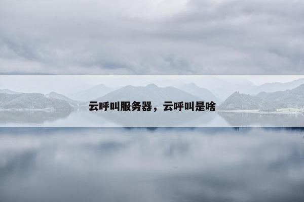 云呼叫服务器，云呼叫是啥