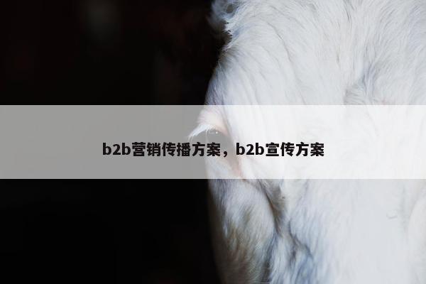 b2b营销传播方案，b2b宣传方案