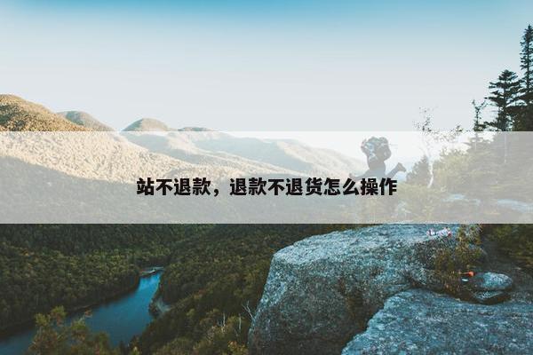 站不退款，退款不退货怎么操作