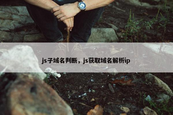 js子域名判断，js获取域名解析ip