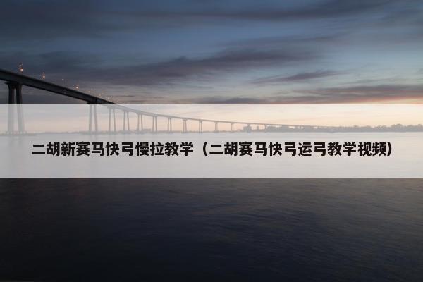 二胡新赛马快弓慢拉教学（二胡赛马快弓运弓教学视频）