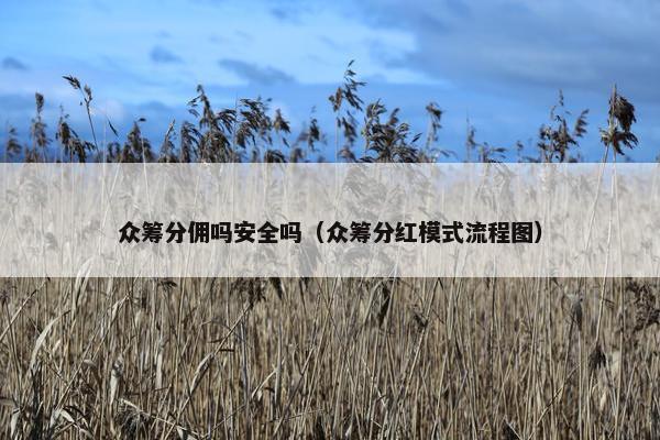 众筹分佣吗安全吗（众筹分红模式流程图）