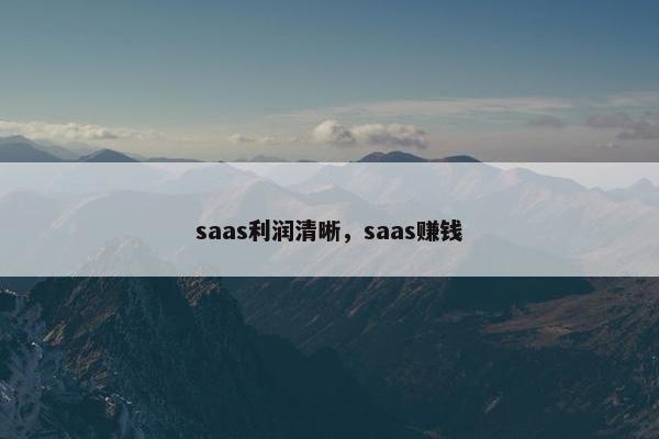 saas利润清晰，saas赚钱